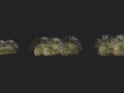 Display of Different Shaped Light Green and White Grass Against Black Background 3d model