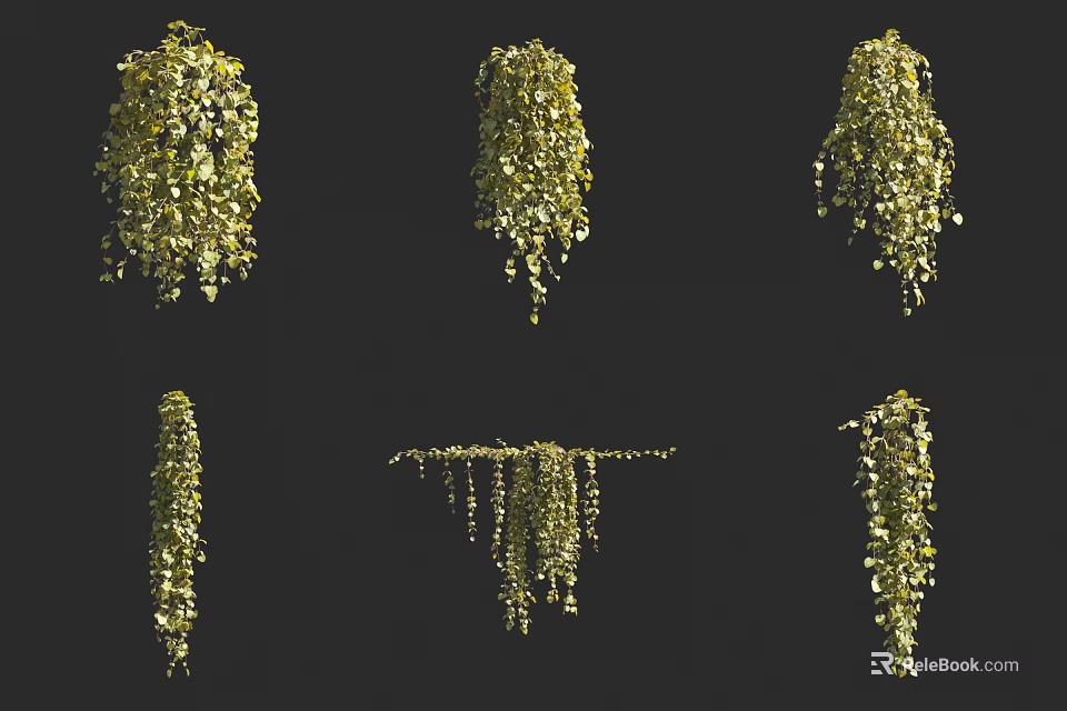 Natural Hanging Vines With Lush Green Leaves In Various Decorative Trailing Styles 3d model 