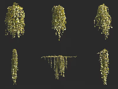 Natural Hanging Vines With Lush Green Leaves In Various Decorative Trailing Styles 3d model