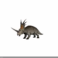 Realistic Triceratops Dinosaur Model with Horns Frilled Skull and Textured Body