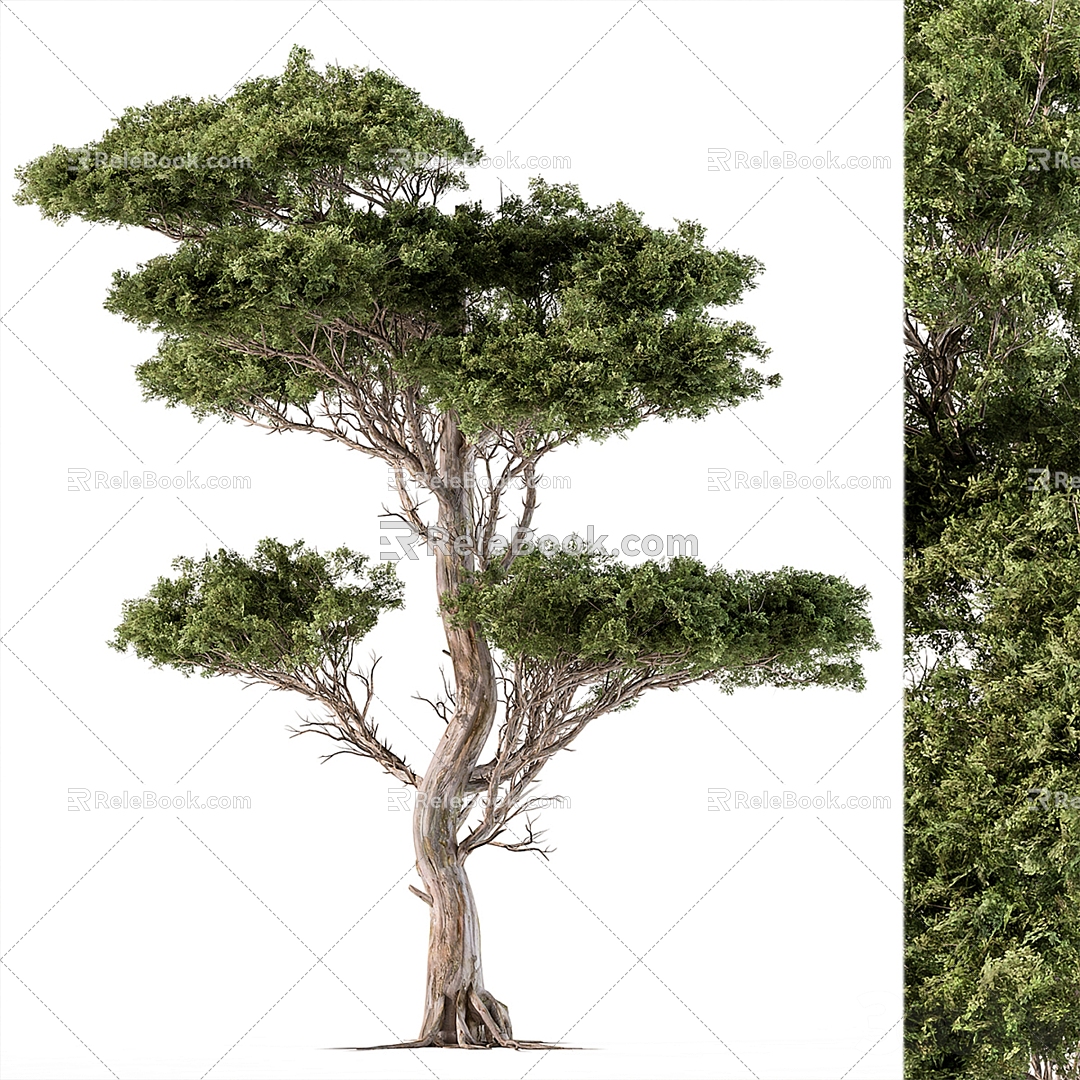 Modern Tree Landscape Tree Trees 3d model