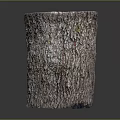 Natural Wood Stump Decorative Piece With Rough Bark Texture And Smooth Top