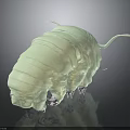 Detailed 3D Tardigrade Creature Character Featuring Light Green Segmented Body Legs And Tail Structure