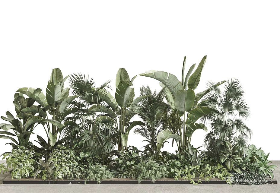 Lush Tropical Green Plants With Tall Palm Leaves And Dense Foliage 3d model 