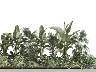 Lush Tropical Green Plants With Tall Palm Leaves And Dense Foliage 3d model
