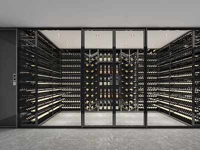Modern Wine Cellar With Glass Doors And Rows Of Wine Bottles On Metal Racks 3d model