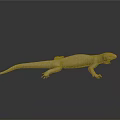 Reptile Lizard With Light Brown Skin Resting On Smooth Dark Surface And Long Tail