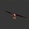 Flying Eagle With Spread Wings Yellow Claws Purple White Body Against Gray Background And Reflection