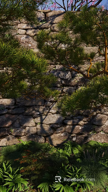 Green Pine Tree Branches With Sunlight Shadows Against Old Stone Wall 3d model 