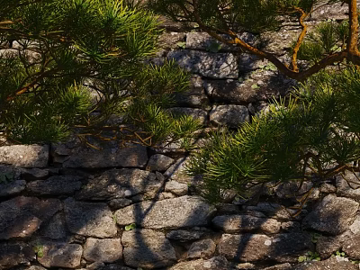 Green Pine Tree Branches With Sunlight Shadows Against Old Stone Wall 3d model