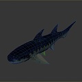 shark great white shark whale shark hammerhead shark tiger head shark man-eating shark blue shark coral red coral white coral 3d model