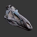 Detailed Dinosaur Skull Fossil With Anatomical Features And Prehistoric Structure