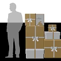 Elegant CARINA Lifestyle Gift Boxes with Gold White Design Ribbons and Person Silhouette