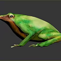 Frog Poison Frog Game Frog Reptile Cold Blooded Animal Reptile 3d model
