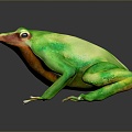 Frog Frog Frog Poison Frog Game Frog Reptile Cold Blooded Animal Reptile Reptile 3d model