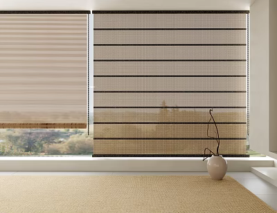 Beige Striped Woven Curtains and Roller Blinds in Living Room with Outdoor View 3d model