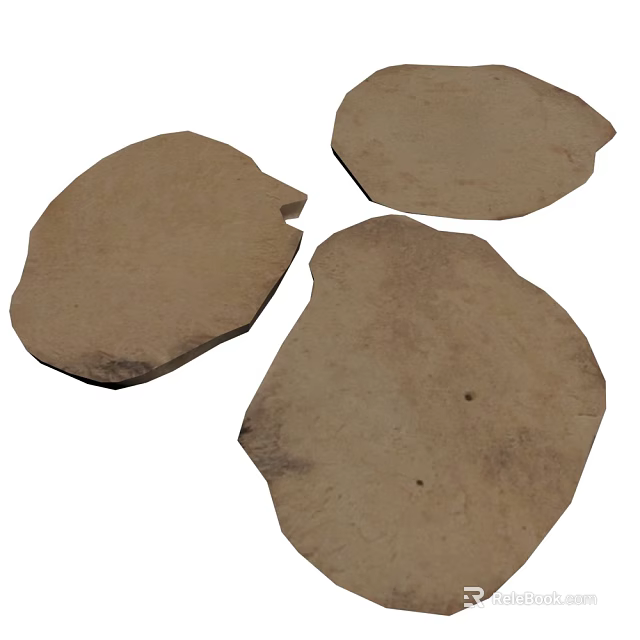 Three Irregular Brown Plant Leaf Shapes With Natural Textured Surfaces 3d model 