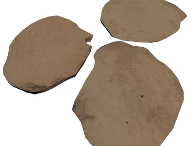 Three Irregular Brown Plant Leaf Shapes With Natural Textured Surfaces 3d model