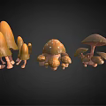 Detailed 3D Models of Various Mushroom Vegetables with Different Shapes and Sizes