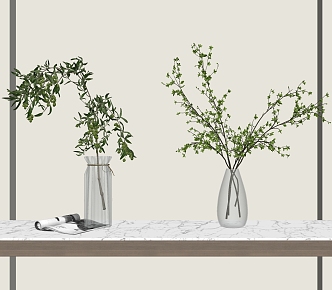 Modern vase hydroponic plant bonsai combination 3d model