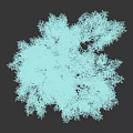 Lush Deciduous Tree With Green Leaves And Brown Trunk Isolated On Black Background