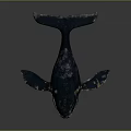 Whale With Dark Blue Body And Orange Yellow Spots On Gray Background