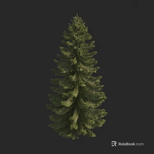 Tall Evergreen Arbor With Lush Green Foliage Dense Branches And Natural Shape 3d model 