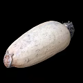 Fresh Whole Lotus Root With Natural Skin And Raw Organic Texture