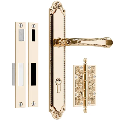 Golden Decorative Door Handle With Ornate Lock Plate And Hardware Accessories 3d model