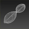 Dark Brown Plant Seed With Textured Surface And Split Shell Structure