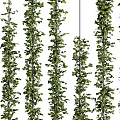 Green Plant Wall With Lush Vertical Foliage For Indoor Decorative Living Design