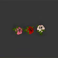 Three Pink Red and Light Pink Roses with Green Stems And Leaves on Dark Background