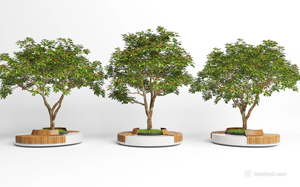 Circular Wooden Tree Planters With Leafy Trees And Grass Base Design 3d model