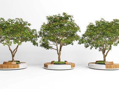 Circular Wooden Tree Planters With Leafy Trees And Grass Base Design 3d model