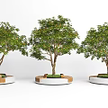 Circular Wooden Tree Planters With Leafy Trees And Grass Base Design 3d model