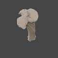 Detailed White Long Bone Skeletal Specimen Isolated on Black Background