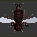 Alien Insects Sci-Fi Insects Magic Insects Strange Insects Fantasy Insects Insect Characters Game Characters 3d model