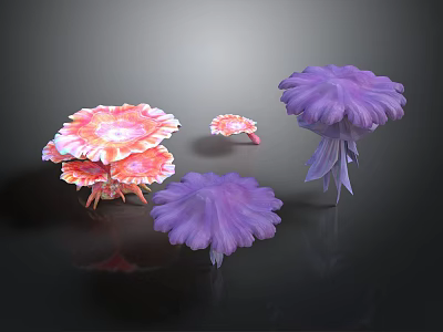 Colorful Pink and Purple Umbrella Shaped Plants with Feather Like Petals Against Black Background 3d model