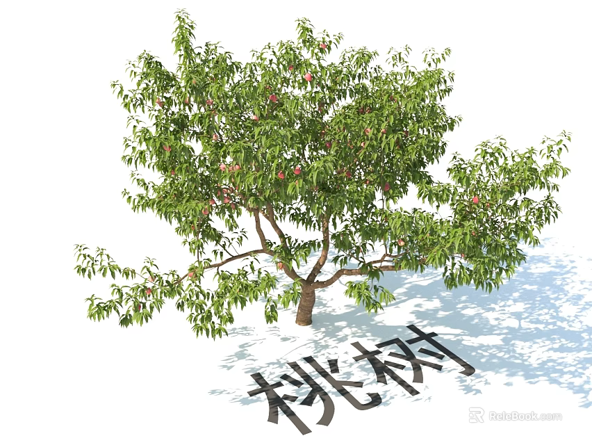 Lush Green Peach Tree Plant Combination With Fresh Leaves And Ripe Fruits 3d model 