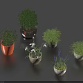 Various Bonsai Potted Plants With Colorful Ceramic Pots And Green Foliage