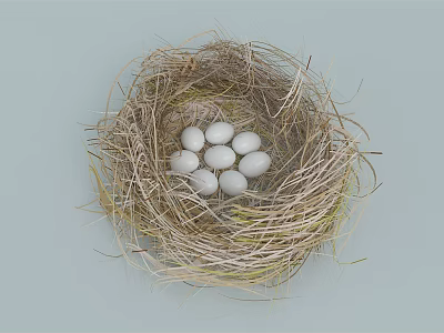 Straw Bird Nest With White Eggs On Light Blue Background 3d model