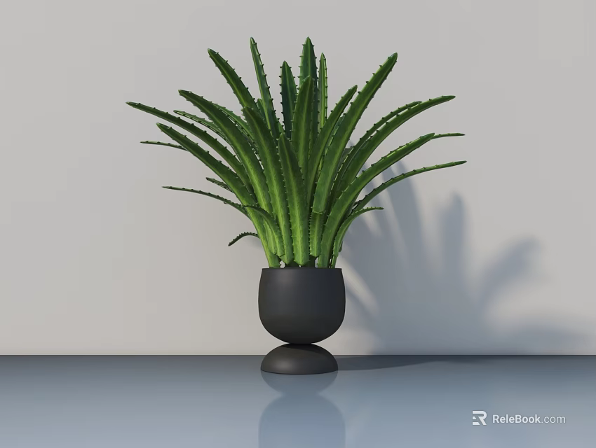 Green Potted Plant With Long Slender Leaves In Black Pot On Smooth Surface 3d model 