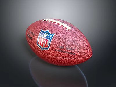 Red NFL Football Sports Gear For Daily Life With NFL Logo And Stitching Details 3d model