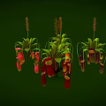 Insects Inside Nepenthes Pitcher Plants With Green Leaves And Red Orange Traps On Green Background