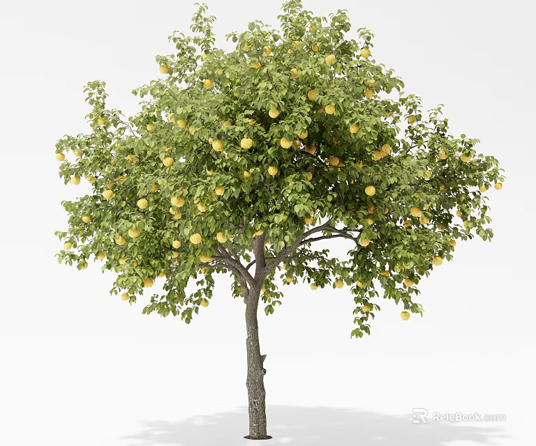 Vibrant Fruit Bearing Tree With Lush Green Leaves And Yellow Fruits 3d model 
