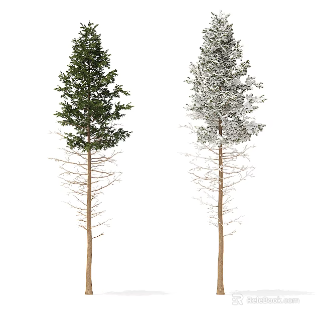 Two Arbor Trees with Green Foliage and Snowy White Branches Brown Trunks 3d model 