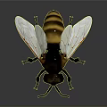 3D Rendered Bee Model With Detailed Wings And Yellow Black Striped Body