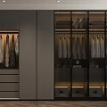 Modern Walk-in Closet Interior With Hanging Clothes Glass Cabinets And Drawers