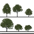Diverse Arbor Trees With Different Sizes And Shapes In White Background 3d model