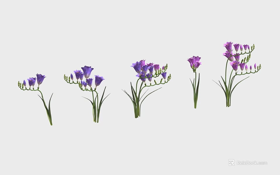 Purple Flowering Plants In Various Growth Stages With Green Stems And Fresh Blooms 3d model 